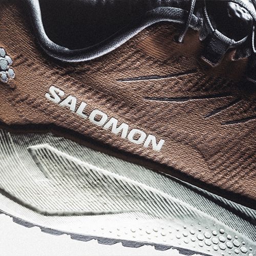 Herren-Laufschuhe Salomon Aero Blaze 4 GRVL burro/vanilla ice