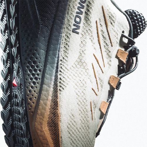 Herren-Laufschuhe Salomon Aero Blaze 4 GRVL GTX vanilla ice/black