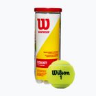 Wilson Champ Xd Tball Tennisbälle 3 Stück gelb WRT100101