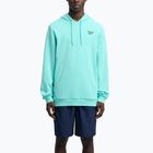 Hoodie Herren Reebok Identity Small Logo Hoodie ai aqua