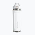 Thermoflasche Stanley Classic Wellspring frost
