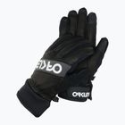 Skihandschuhe Herren Oakley Factory Winter Gloves 2.0 blackout