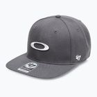 Herren Oakley 47 B1B Ellipse einheitlich grau Baseballkappe