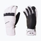 Skihandschuhe Oakley Roundhouse Short Lunar Rock