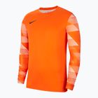 Herren Nike Dri-Fit Park IV Fußball Sweatshirt orange CJ6066-819