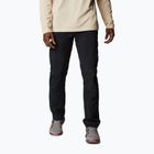 Columbia Silver ridge II cargo 010 schwarz 1794901 Herren-Trekkinghose