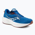 Laufschuhe Herren Saucony Triumph 21 cobalt/silver