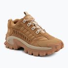 Herrenschuhe CATerpillar Intruder apple cinnamon