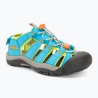 KEEN Newport Boundless blau atoll/daiquiri grün Junior Sandalen