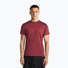 Herren-Trekkingshirt icebreaker Merino 125 Cool-Lite Sphere III port