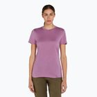 Icebreaker Merino 150 Tech Lite III Damen Deko-Trekking-Shirt