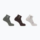 Socken Salomon Everyday Ankle 3 Paar silver cloud/sedona sage