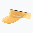 Salomon SHAKEout aprikosenfarbenes Visier
