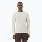 Lauf Longsleeve Herren Salomon SHAKEout Core icicle