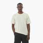 Laufshirt Herren Salomon SHAKEout Core icicle