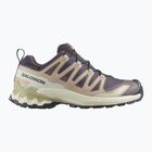 Laufschuhe für Damen Salomon XA Pro 3D V9 GTX nine iron/oxford tan