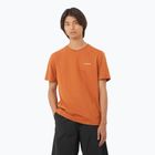 Shirt Herren Salomon Logo Tee sierra