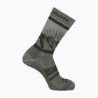Socken Salomon Retro Wool aloe/martini olive