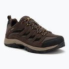 Herren Trekkingschuhe Columbia Crestwood Wp V2 mud/squash