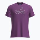 Trekking Shirt Herren icebreaker Merino 125 Cool-Lite Sphere Tee Across The Peaks passion