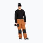 Snowboardhose Herren Volcom Roan caramel