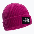 The North Face Salty Dog Mütze rosa NF0A7WG81461
