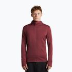 Herrenpullover Icebreaker Merino 260 Quantum IV LS Zip Hoodie port/agate