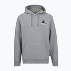 Männer Patagonia Chouinard Crest Uprisal Hoody Kies Heidekraut Sweatshirt