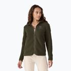 Damen Patagonia Retro Pile Hoody Fleece-Sweatshirt Tannennadel grün