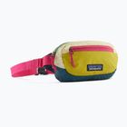 Patagonia Terravia Mini Hip Butterblume gelb Nierentasche