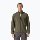 Patagonia Herren Fleece-Sweatshirt Synch basin grün
