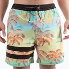 Hurley Phantom Eco Block Party Volley 17" Ananas Badeshorts für Männer
