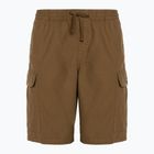 Herren Vans Range Cargo Lose Shorts