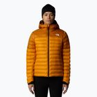 Damen Daunenjacke The North Face Terra Peak Hoodie Aprikose Glasur / Eisen Zitrus