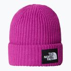 The North Face Salty tief Maulbeere Kinder Winter Mütze