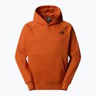 Männer The North Face Raglan Box Nse Hoodie erdigen Kupfer