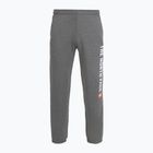 Herrenhose The North Face Varsity Graphic mittelgrau heather