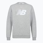 Herren Sweatshirt New Balance Sport Core Brushed Crew reflection/white/light arctic grey