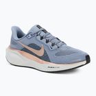 Damen Laufschuhe Nike Pegasus 41 aschfahl schiefer/armourynavy/schwarz/metallicredbronze