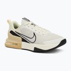 Training Sportschuhe Herren Nike Air Max Alpha Trainer 6 sail/coconut milk/team gold/black