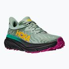 Damen Laufschuhe HOKA Challenger ATR 7 aloe vera/schwarz