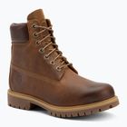 Herrenschuhe Timberland 6In Premium brown