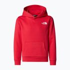 Kinder Sweatshirt The North Face Teen Simple Dome Hoodie Hibiskus
