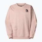 The North Face Mountain Cleanup über rosa Moos Sweatshirt