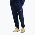 Herren-Trekkinghose The North Face Simple Dome Light Regular Tapered Jogger summit navy