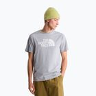 Herren-Shirt The North Face Evolution Half Dome tnf pale grey heather