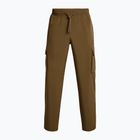 Herren Under Armour Vibe Woven Cargo Hose coyote/schwarz