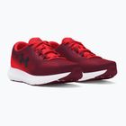 Laufschuhe Herren Under Armour Charged Rogue 4 cardinal/racer red/black