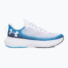Laufschuhe Herren Under Armour Infinite white/electric blue/white