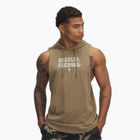 Hoodie Sweatshirt Herren Under Armour Project Rock Wire SL bayou / white clay